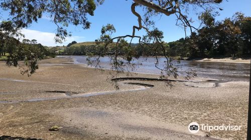 Magical Park at Gutterridge Gardens in Waratah-Wynyard