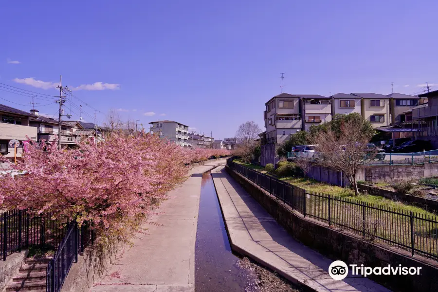 Yodoryokuchi Park