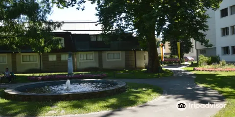 Das Relief von Karnten