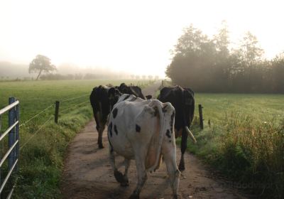 Farm Visit