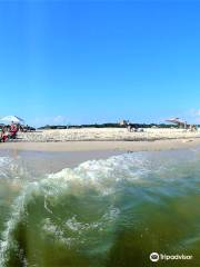 Dauphin Island Public Beach