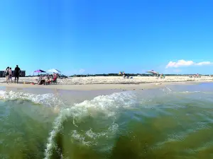 Dauphin Island Public Beach