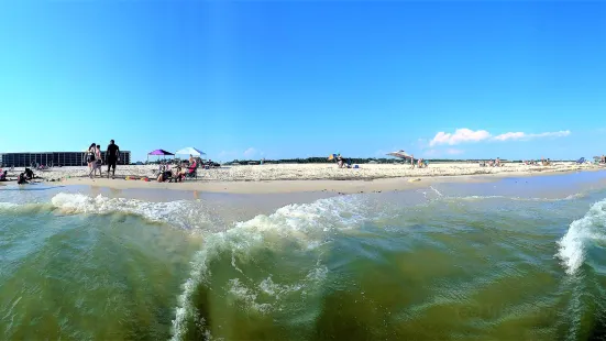 Dauphin Island Public Beach