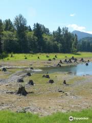 Alder Lake Park