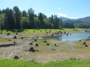 Alder Lake Park