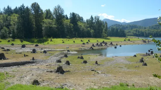 Alder Lake Park