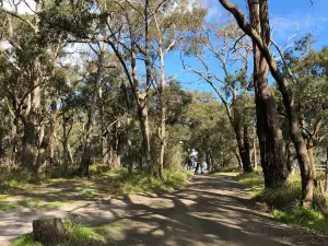 The Gurdies Nature Reserve