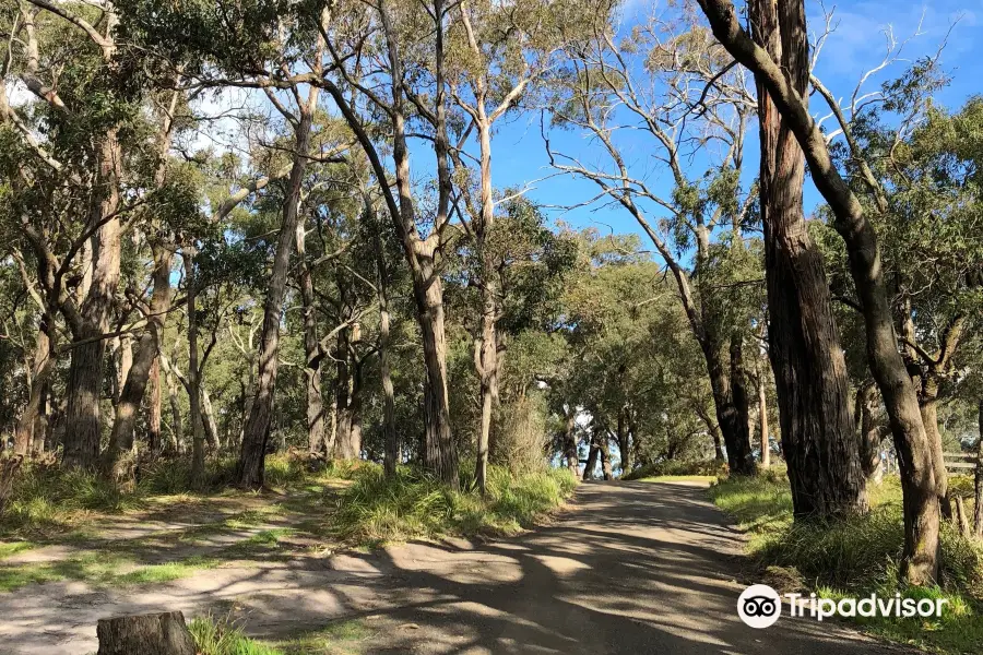 The Gurdies Nature Reserve