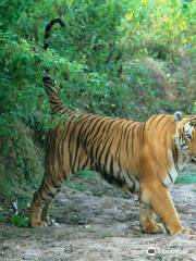 Bandipura Tiger Reserve