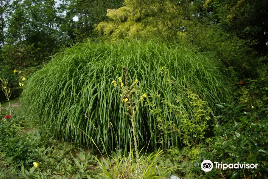 Botanischer Garten