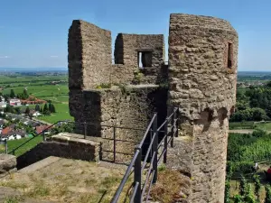 Wachtenburg (Ruin "Castle Wachenheim")