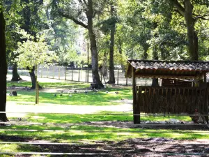Animal Park Nahuques