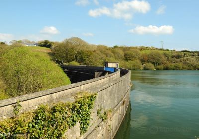 Budock Water and the Lakes Circular Walk