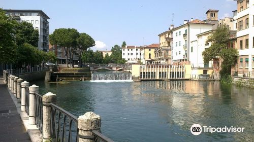 Passeggiata Lungo il Fiume Sile