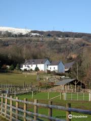 Greenmeadow Community Farm