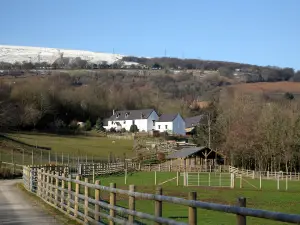 Greenmeadow Community Farm