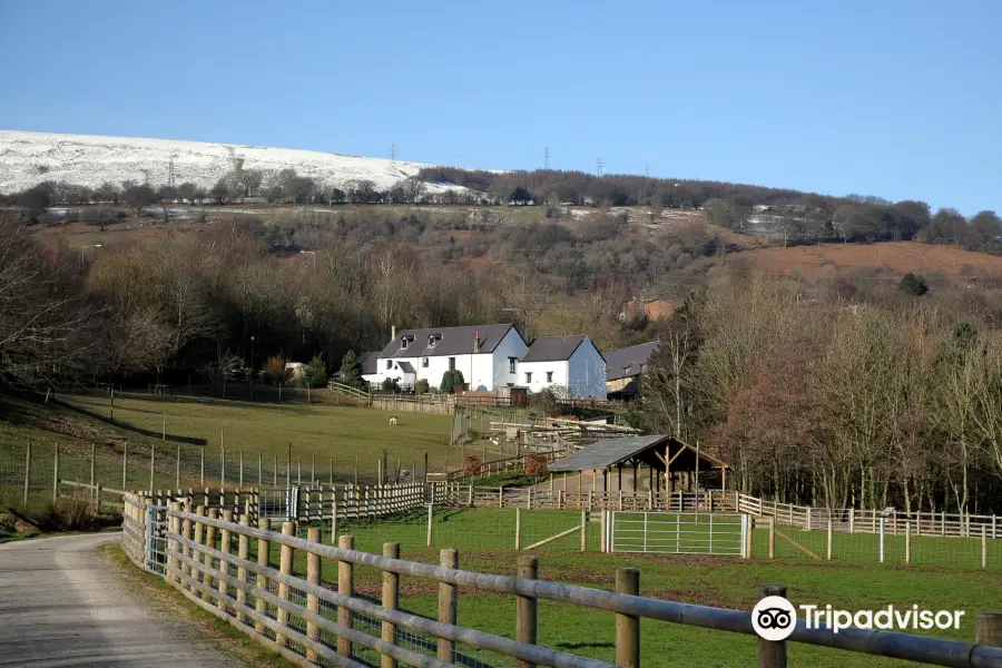 Greenmeadow Community Farm