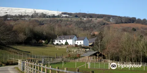 Greenmeadow Community Farm