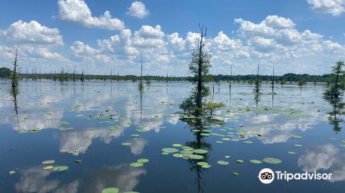 Black Bayou Lake National Wildlife Refuge