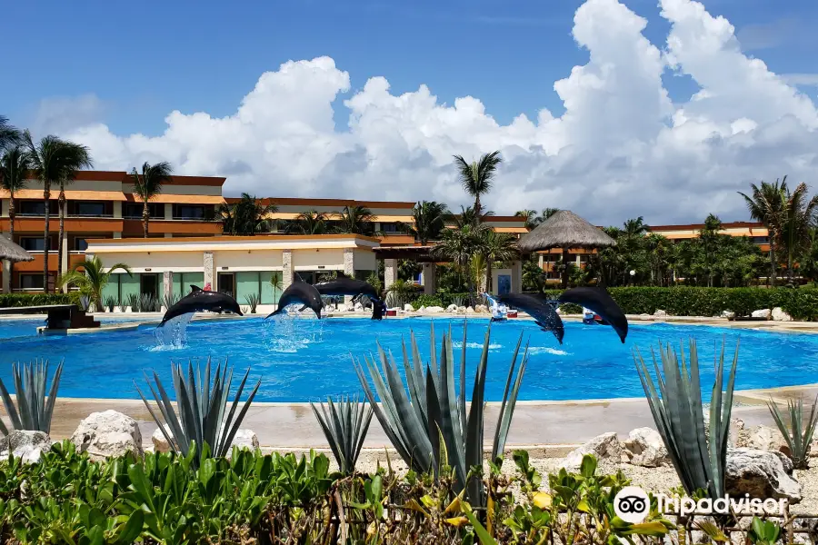 Dolphinaris Tulum at Bahia Principe Hotel