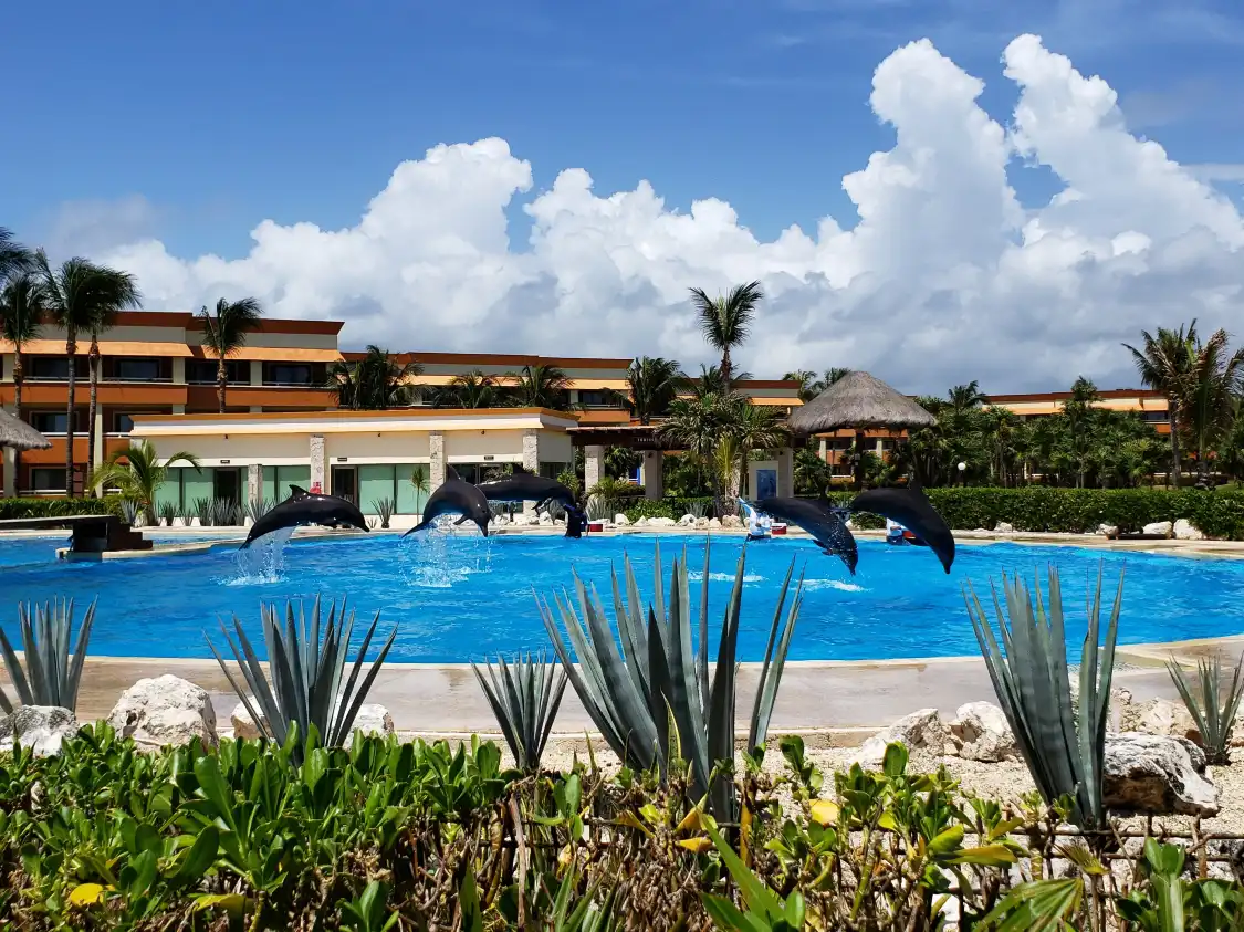 Dolphinaris Tulum at Bahia Principe Hotel 주변 호텔