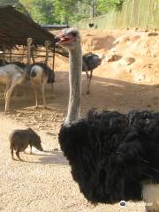 蘇比克灣野生動物園