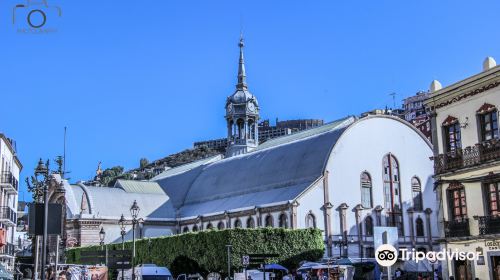 Mercado Hidalgo