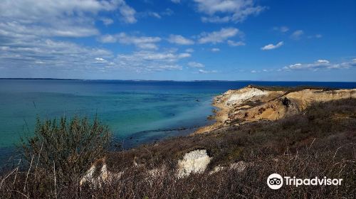 Aquinnah Lighthouse