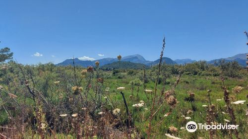 S'Albufereta Natural Reserve