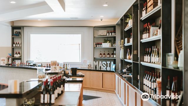 Masia de la Vinya Winery