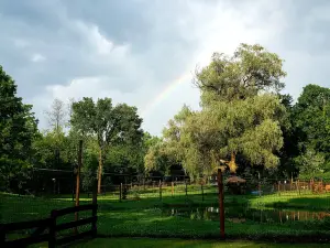 Fort Rickey Discovery Zoo