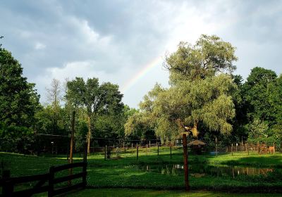 Fort Rickey Discovery Zoo