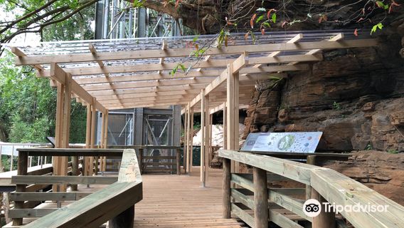 Graskop Gorge Lift Co.