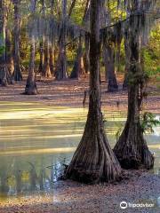 LeFleur's Bluff State Park