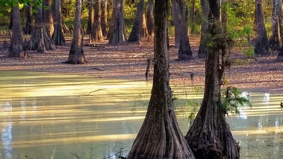 LeFleur's Bluff State Park Mayes Lake