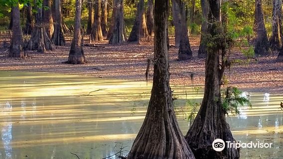 LeFleur's Bluff State Park