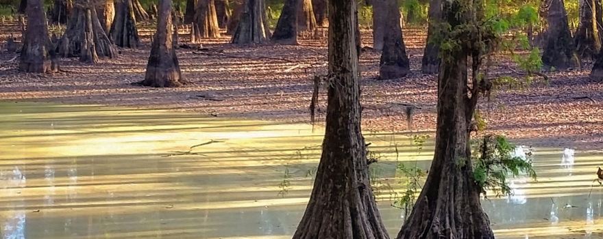 LeFleur's Bluff State Park