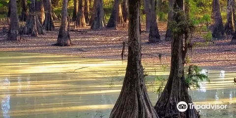 LeFleur's Bluff State Park
