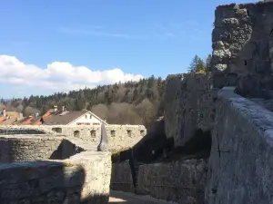 Chateau de Neuchatel