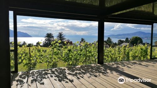 Domaine et Cave Christophe & Christine Bertholet