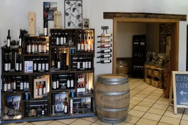 Domaines Vinsmoselle