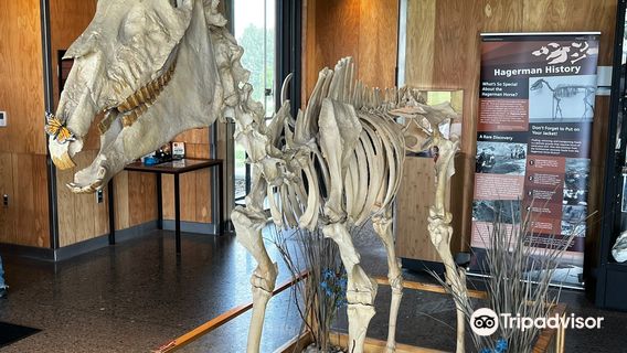 Visitor Center: Thousand Springs State Park & Hagerman Fossil Beds National Monument