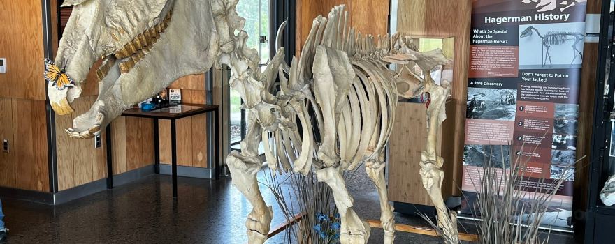 Thousand Springs State Park & Hagerman Fossil Beds National Monument, Visitor's Center