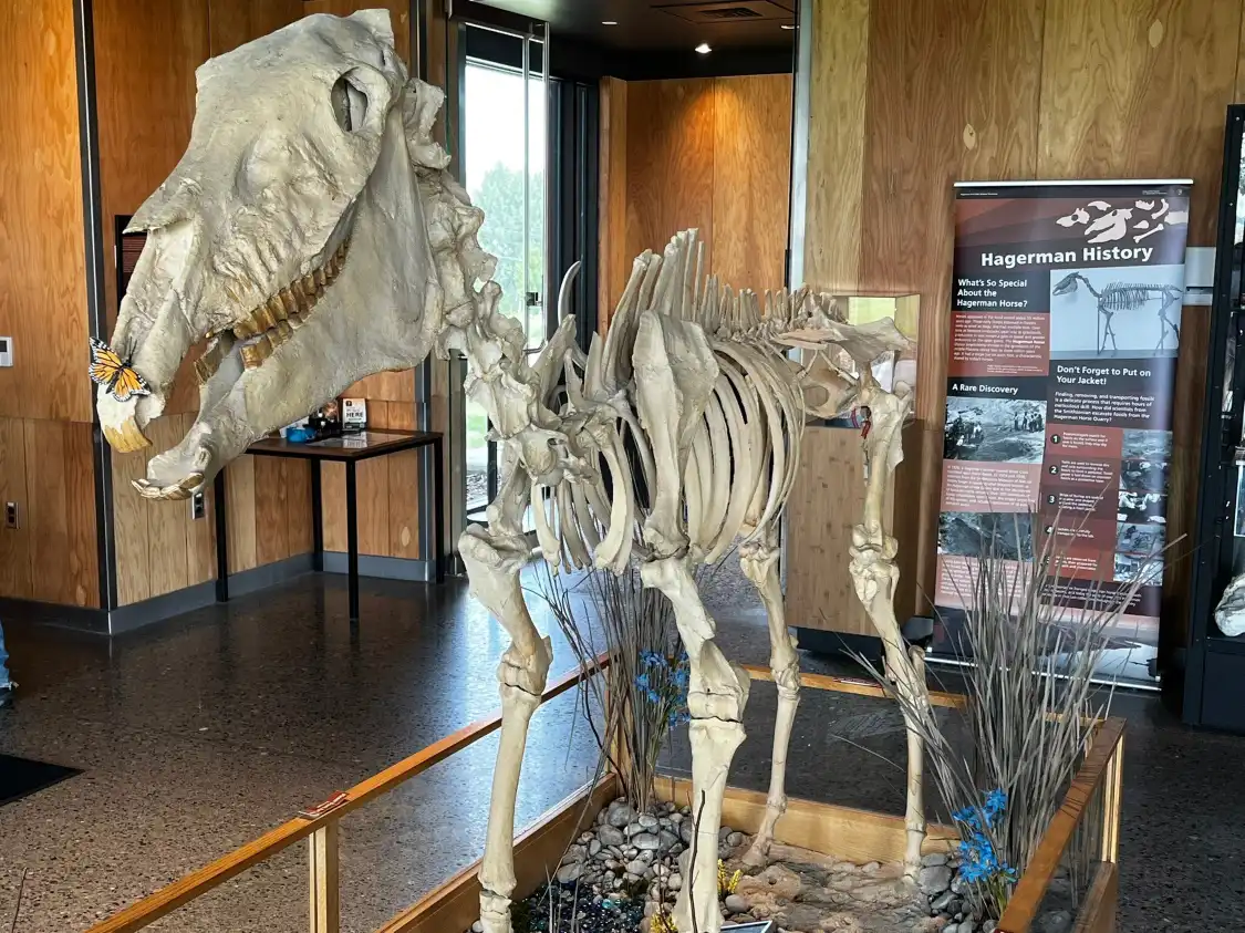 Hagerman Fossil Beds National Monument, Visitor's Center附近的飯店