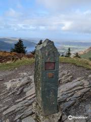 Dodd's Wood Ospreywatch