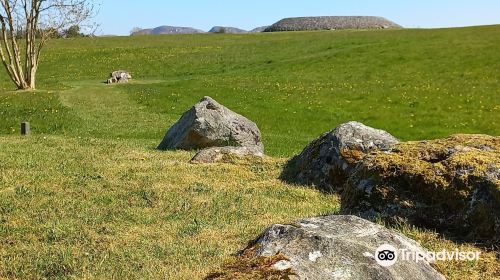 Carrowmore Megalithic Cemetery