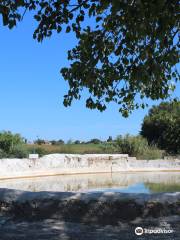 Thermal spring of Bulicame