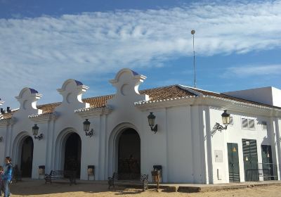 La Virgen del Rocío