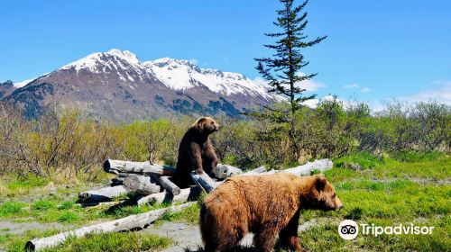 Alaska Wildlife Conservation Center