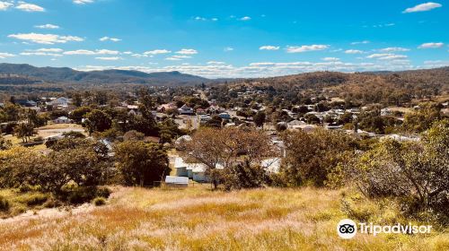 Frank Golding Lookout